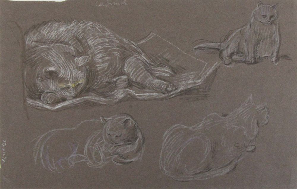 Appraisal: PAUL CADMUS AMERICAN - Crayon on Paper Cat Studies Signed