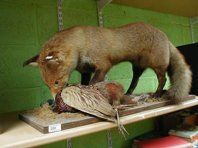 Appraisal: A taxidermy fox with prey -