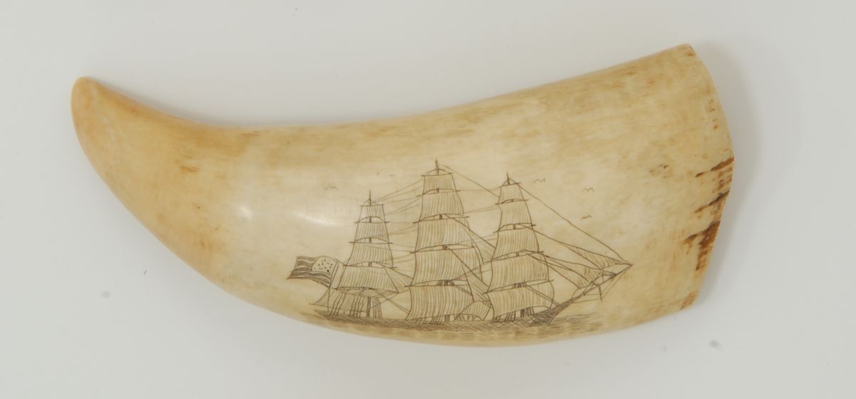 Appraisal: SPERM WHALE'S TOOTH Late th CenturyWith early th century decoration