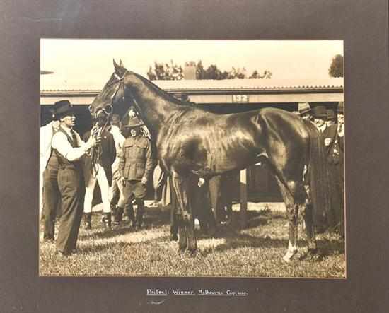 Appraisal: PHOTOGRAPH OF MELBOURNE CUP WINNER POITREL 'Sears studies Melbourne' to