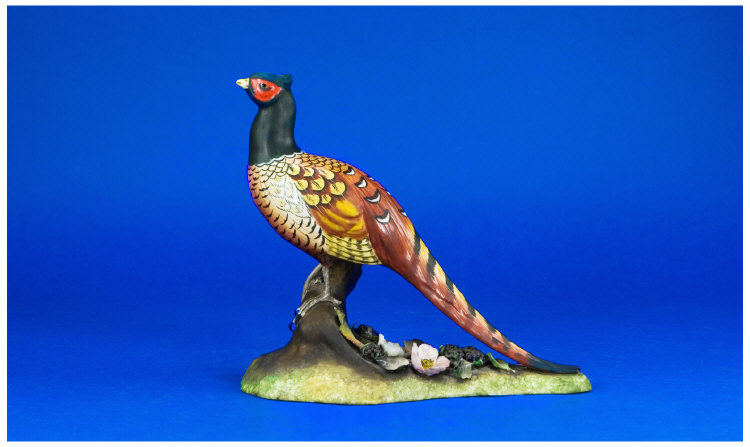 Appraisal: Royal Crown Derby Bone China Bird Figure Pheasant initialled J