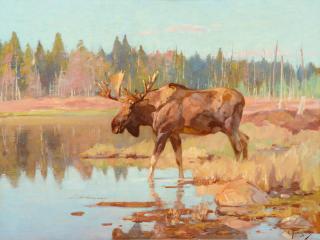 Appraisal: Carl Rungius - Moose in Marshlandoil on canvas inchessigned lower