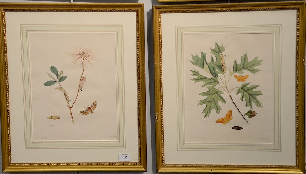 Appraisal: John Abbott - set of six hand colored engravings from