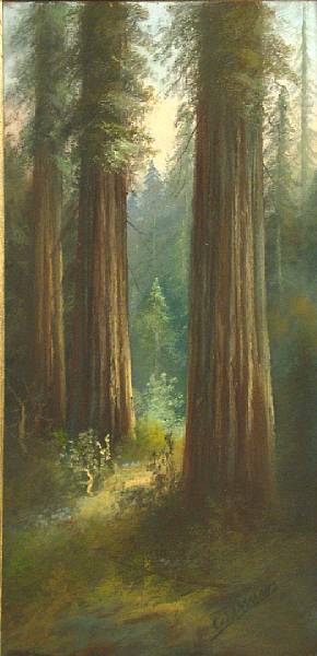 Appraisal: Carl Sammons American - In the redwoods signed 'C Sammons'