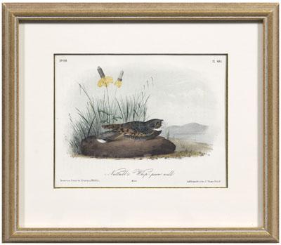 Appraisal: Octavo Audubon prints hand-colored lithographs Bowen Edition quot Red-bellied Woodpecker