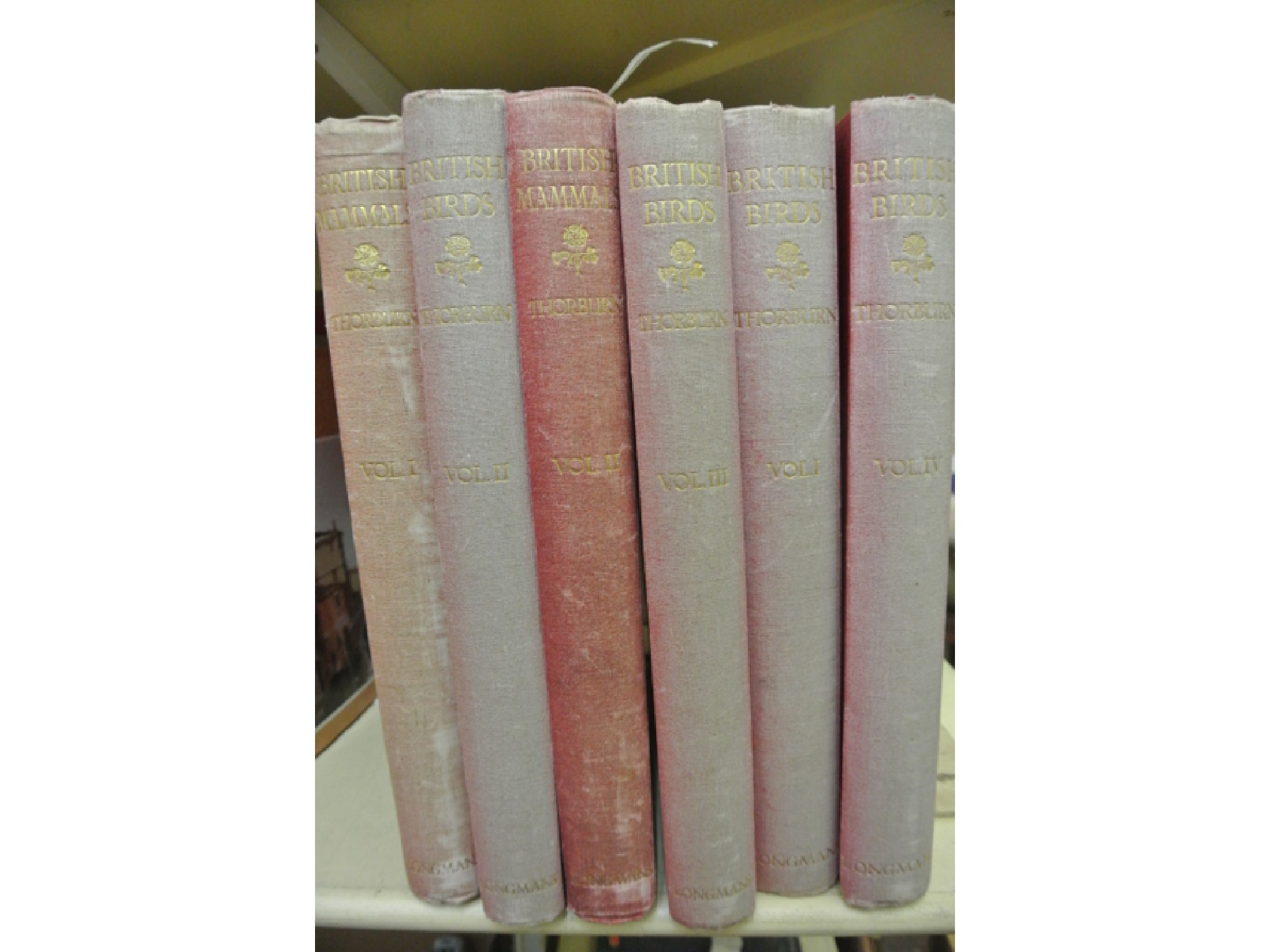 Appraisal: Archibald Thorburn British Birds volumes and British Mammals volumes in