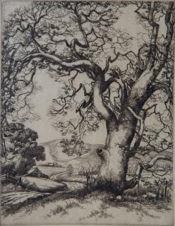 Appraisal: Cornelius Botke etching Cornelius Botke American - - ''Beside a