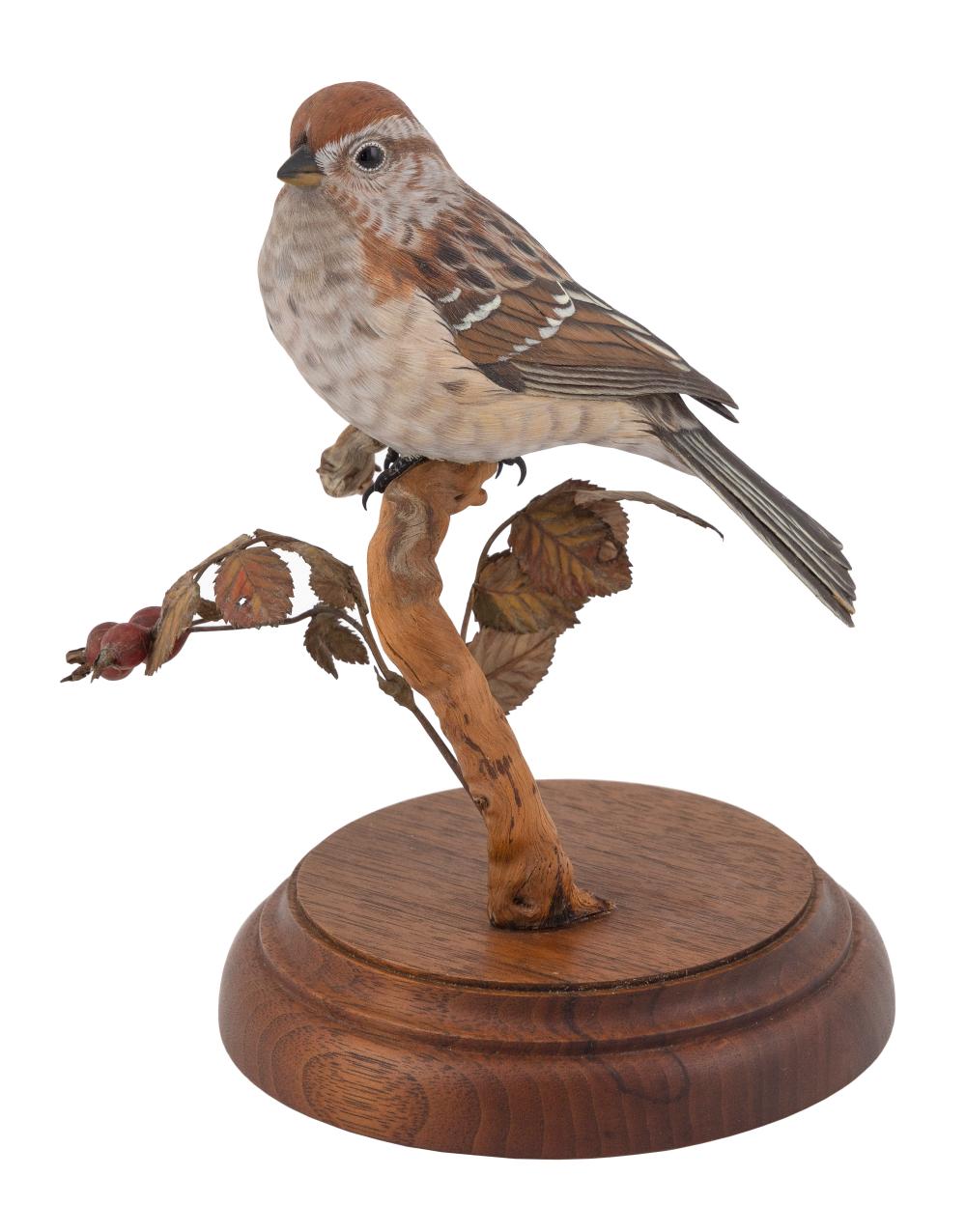 Appraisal: EUGENE MORELLI AND JOAN ZYGMUNT LIFE-SIZE SONG SPARROW Montana th