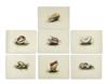 Appraisal: SHELLS Group of hand-colored stipple engraved plates Each approximately x