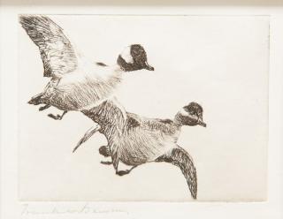 Appraisal: Frank W Benson Flying Bufflehead signed Frank W Benson lower