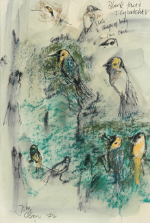 Appraisal: John Olsen born Black-faced Flycatcher pastel ink and wash on