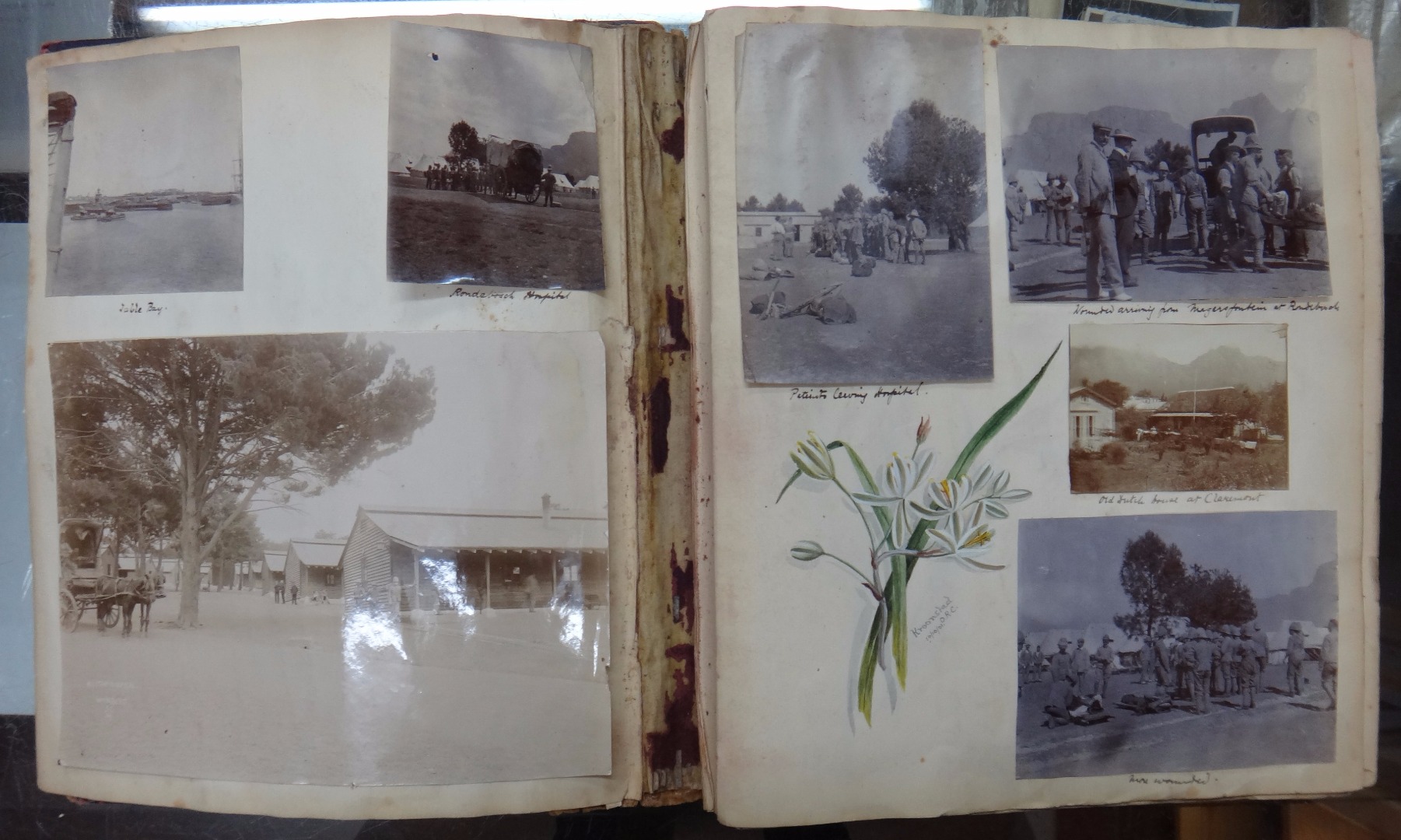 Appraisal: BOER WAR - an arresting Album of approx mounted photos