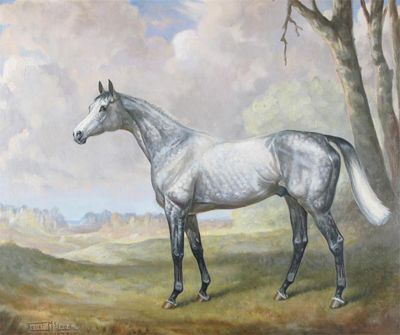 Appraisal: Juliet McLeod b Portrait of the racehorse Consequential in a