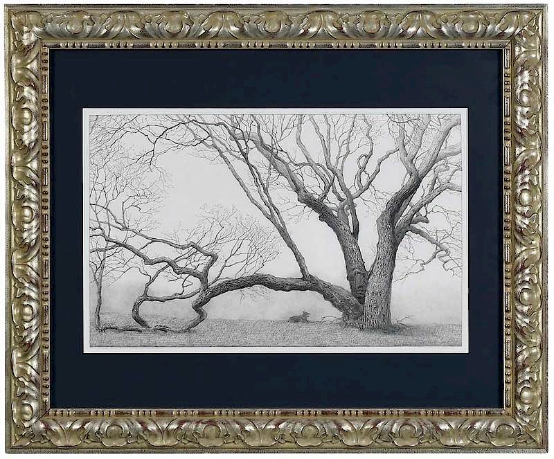 Appraisal: Charles Brindley Tennessee born Majestic Elm Tree at Lynnwood Terrace