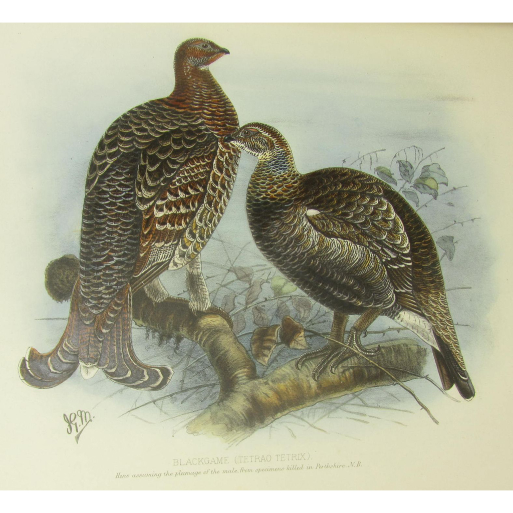 Appraisal: Millais J G Game Birds and Shooting-Sketches London Sotheran to