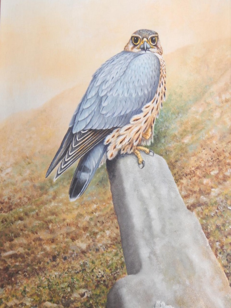 Appraisal: Miles Hopper Falcon possibly a peregrine falcon oil on board