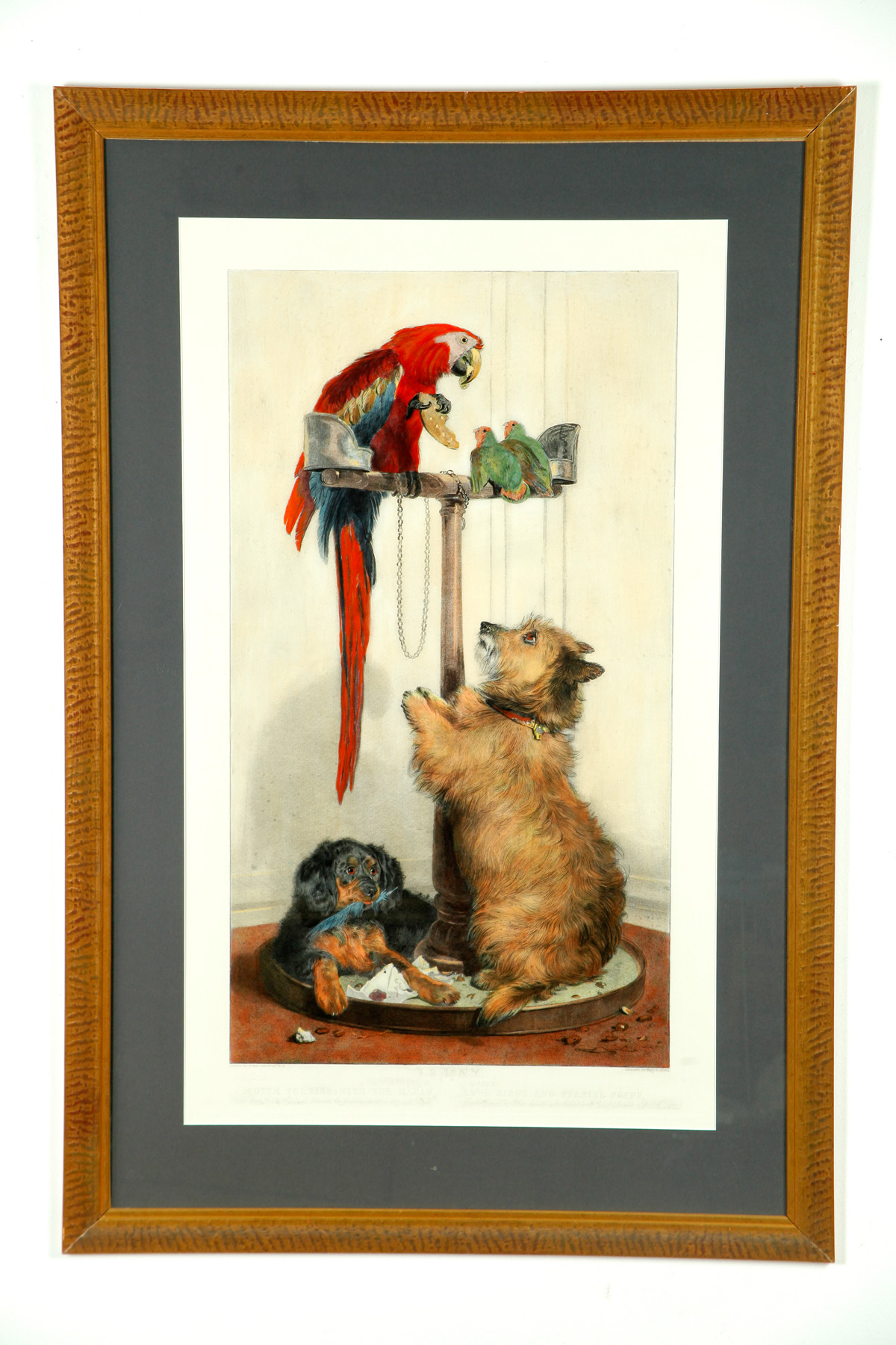 Appraisal: SCOTCH TERRIER WITH THE MACAW LOVE BIRDS AND SPANIEL PUPPY