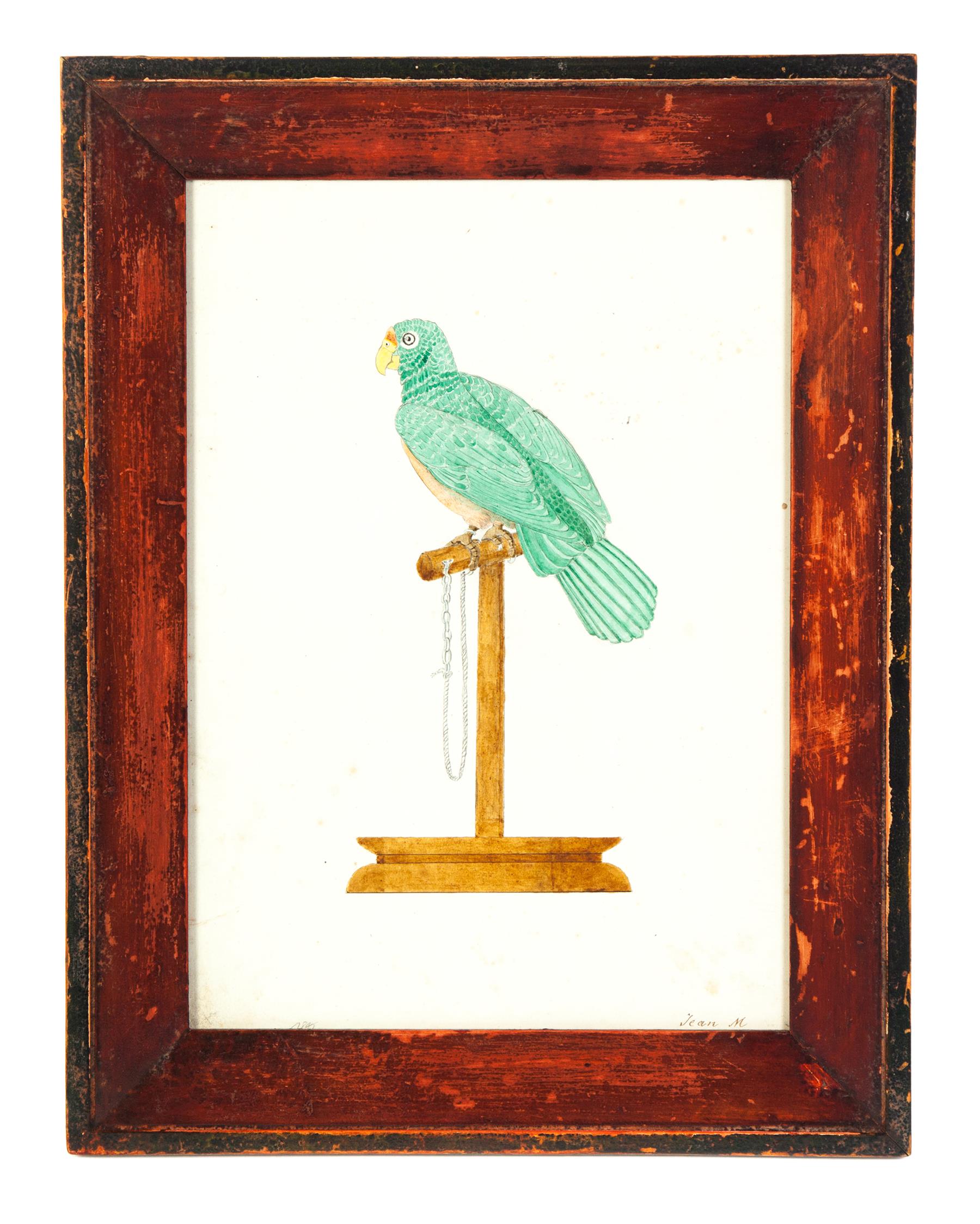 Appraisal: PAINTING OF A PARROT American nd half- th century watercolor