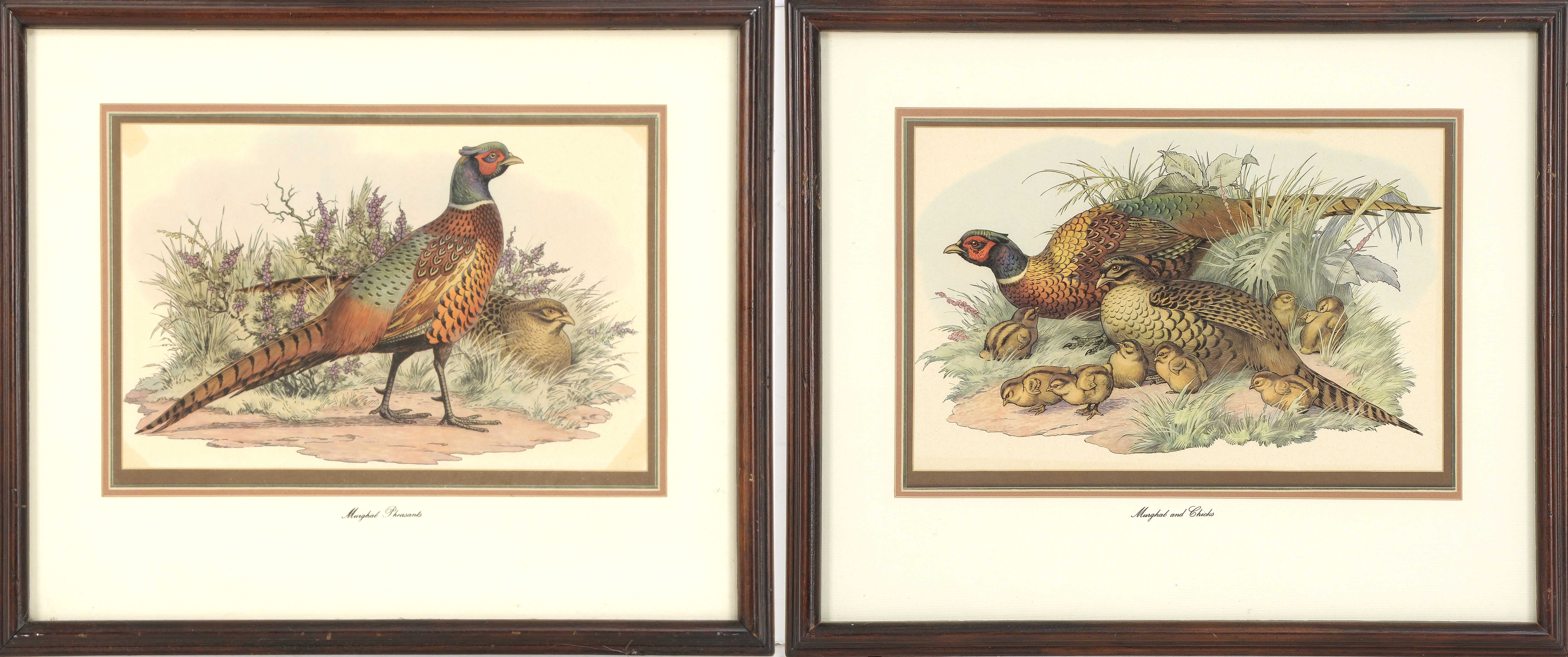 Appraisal: TWO FRAMED PRINTS AFTER GOULD AND RICHTER Depicting pheasants ConditionSome