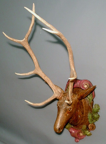 Appraisal: Black Forest carved stag head with polychrome decoration h x