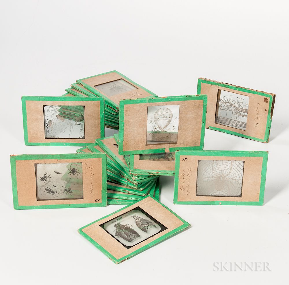 Appraisal: Magic Lantern Slides Depicting Spiders Magic Lantern Slides Depicting Spiders