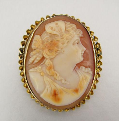 Appraisal: CARVED SOFT SHELL CAMEO PIN In yellow gold frame acid