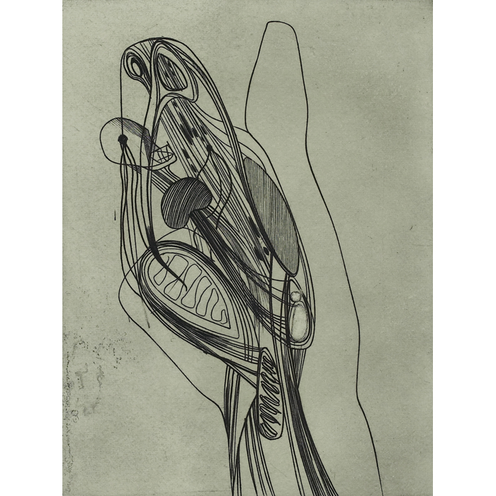 Appraisal: Stanley William Hayter British - ''Cheiromancy '' engraving and scorper