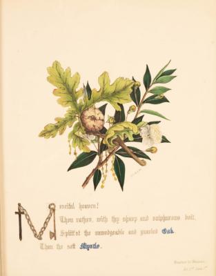 Appraisal: By and after L E G Floral Specimens thirty engravings