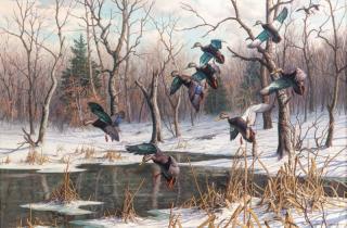 Appraisal: Harry Curieux Adamson - Wild Bounty - Black Ducks signed