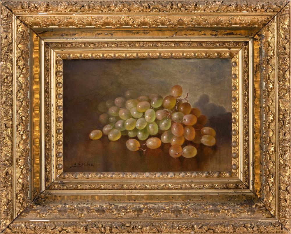 Appraisal: JOHN CHRISTOPHER MILES MASSACHUSETTS CANADA - STILL LIFE OF GRAPES