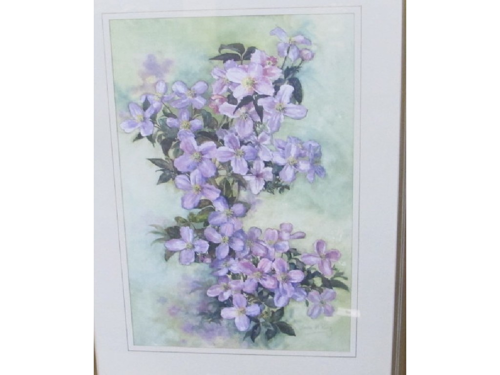 Appraisal: LINDA M KING Watercolour 'Clematis' signed