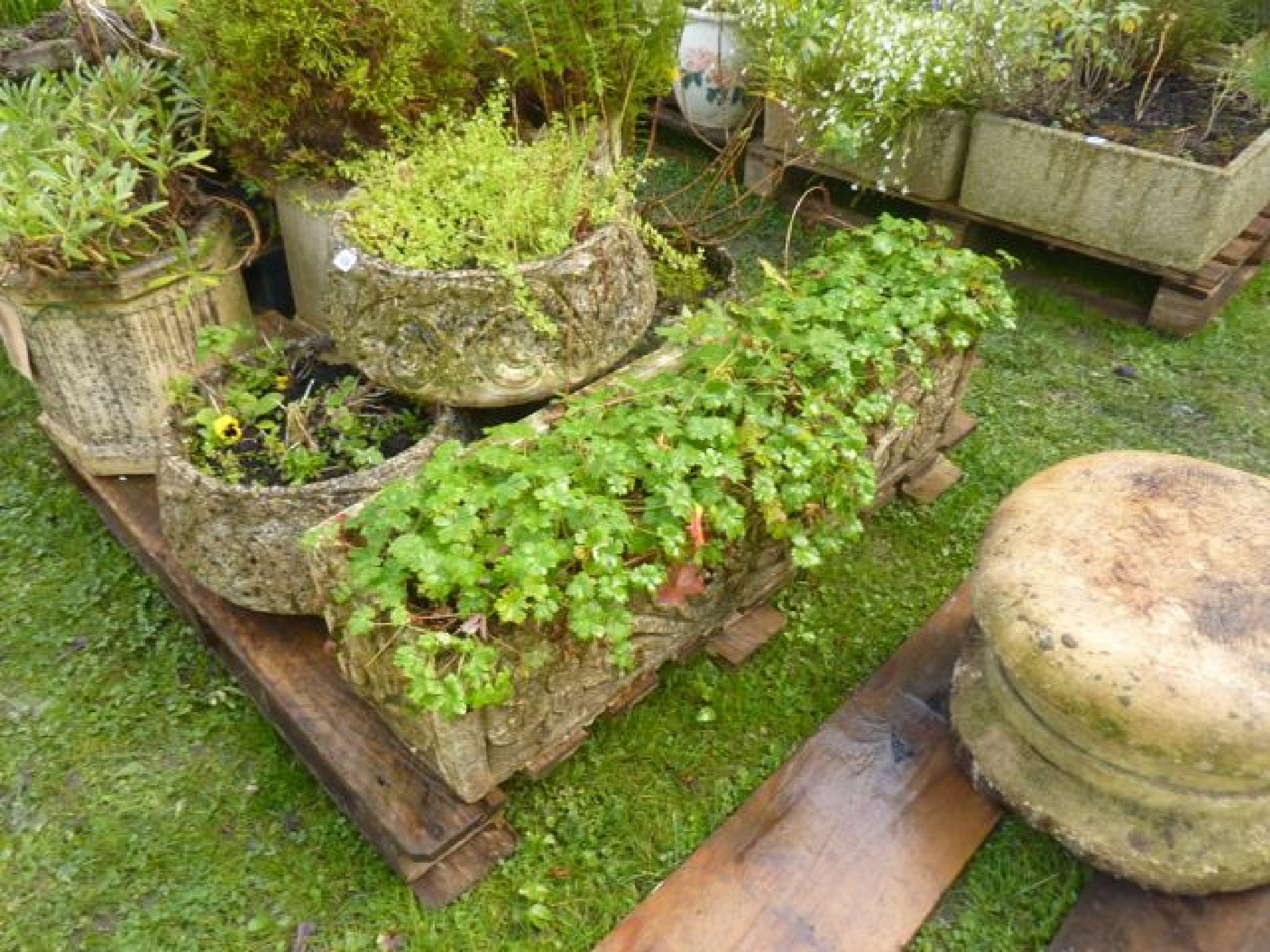 Appraisal: A set of three weathered cast composition stone garden planters