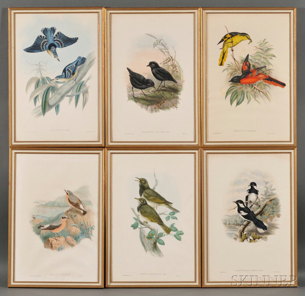 Appraisal: Gould John - Six Framed Ornithological Prints Hand-colored lithographic prints