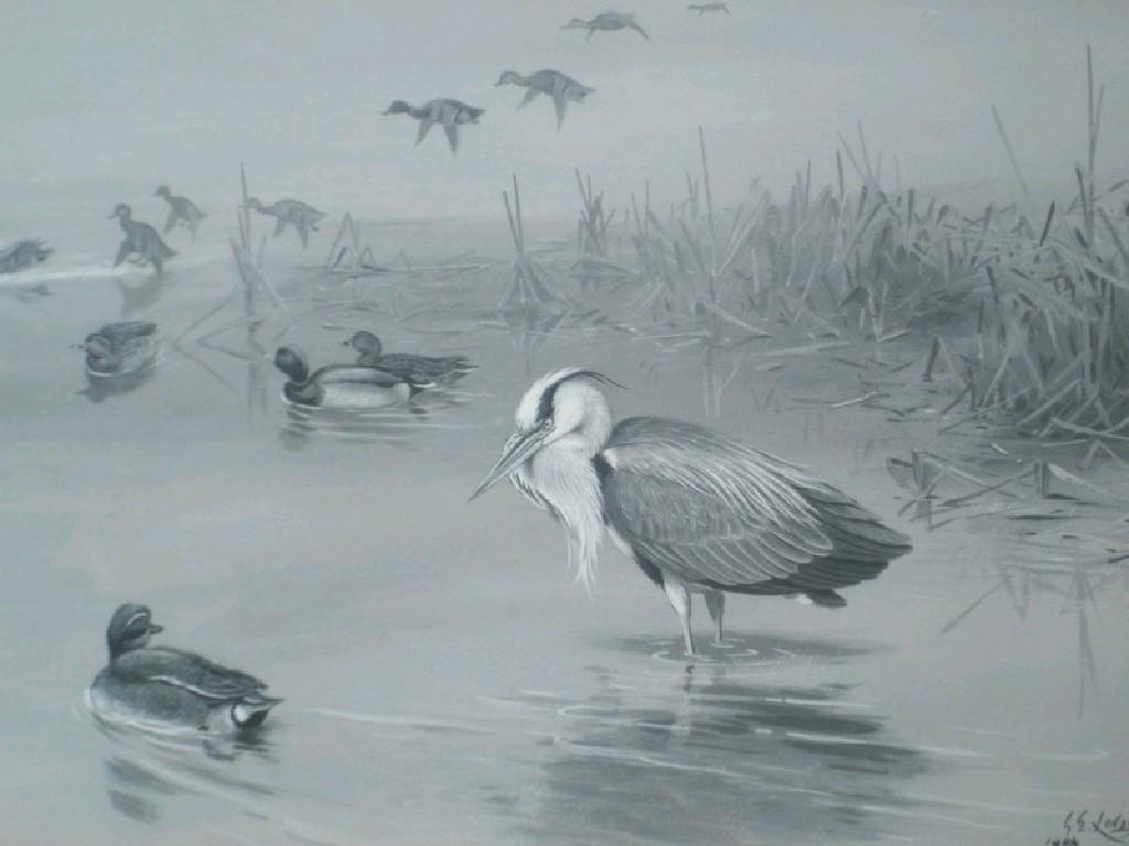 Appraisal: George Edward Lodge - Heron and geese monochrome watercolour signed