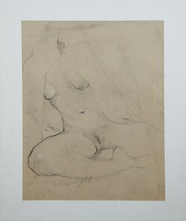 Appraisal: Don Wright - Seated Nude Woman late th c graphite