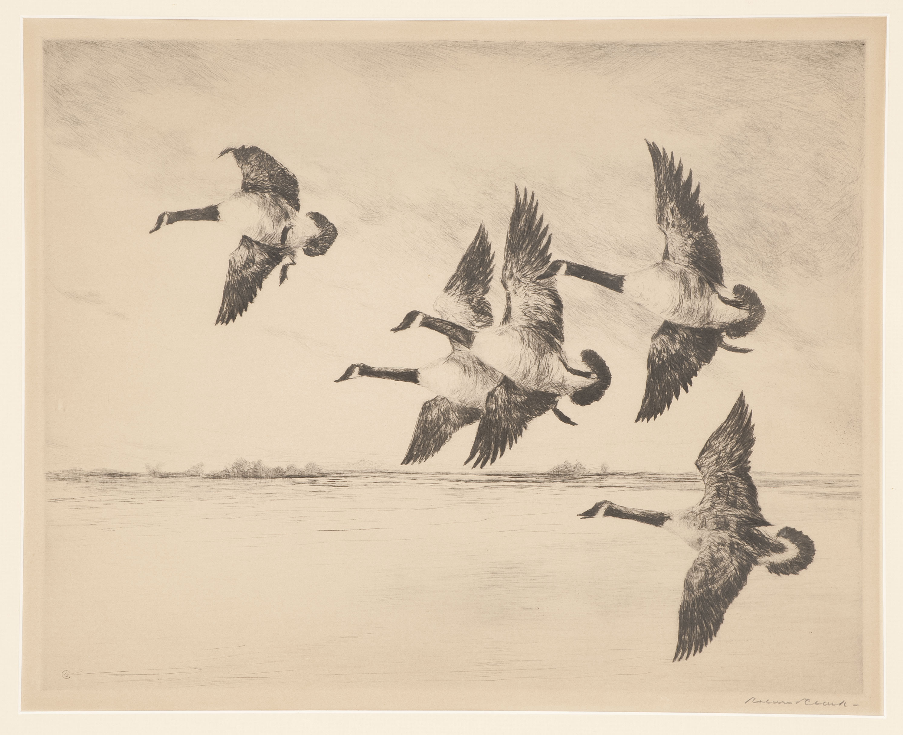 Appraisal: FRAMED DRYPOINT ETCHING th CenturyCanada geese in flight Signed lower