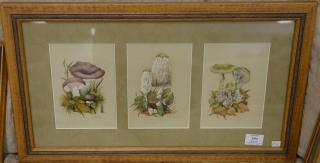 Appraisal: Eight framed pieces including six mushroom watercolors signed Carol one