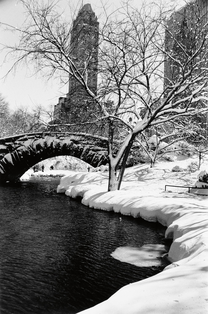 Appraisal: EISENSTAEDT ALFRED - Central Park after a Snowstorm NYC Silver