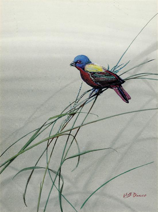 Appraisal: Edward Von Siebold Dingle South Carolina - PAINTED BUNTING watercolor