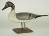 Appraisal: DECOY - Cica carved and painted wood standing Pintail decoy