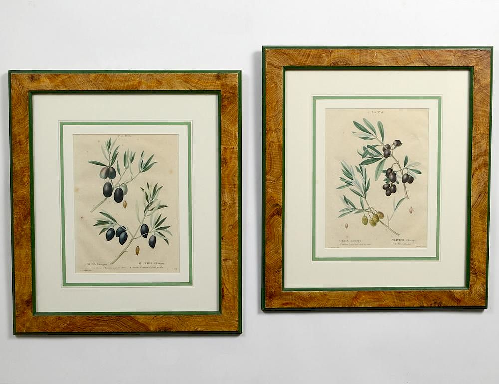 Appraisal: PIERRE JOSEPH REDOUTE French - Pair of Hand Colored Engravings