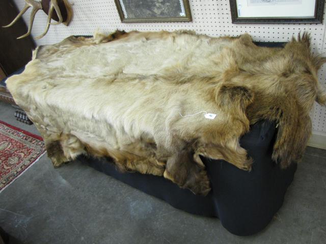 Appraisal: Large Tanned Elk Hide approximately '' long