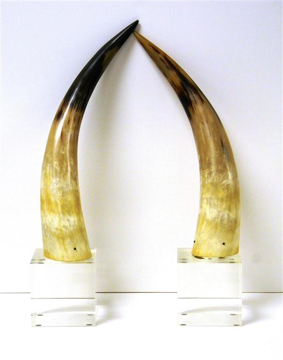 Appraisal: Pair North American steer horns mounted on clear Lucite cubes