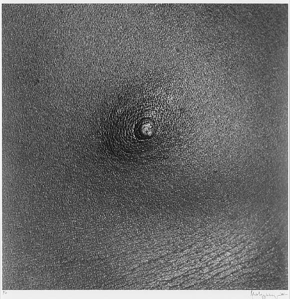 Appraisal: Robert Mapplethorpe American - Nipple Gelatin silver print signed dated