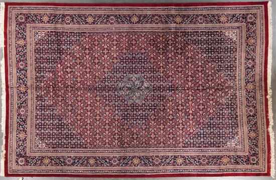 Appraisal: Indo Bijar carpet India modern x Estimate -