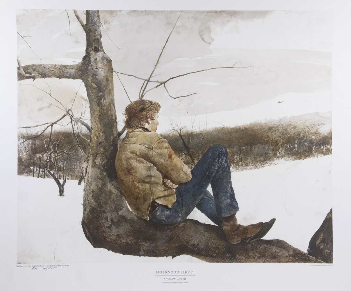 Appraisal: ANDREW NEWELL WYETH PA ME - Afternoon Flight collotype print