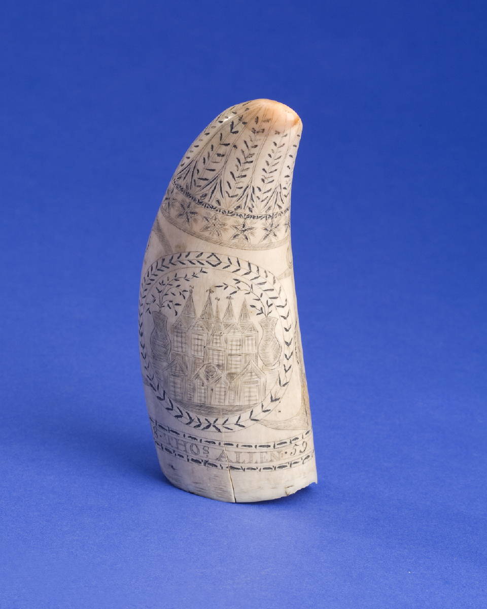 Appraisal: SCRIMSHAW WHALE'S TOOTH BY THOMAS ALLEN DECORATED WITH A BARK