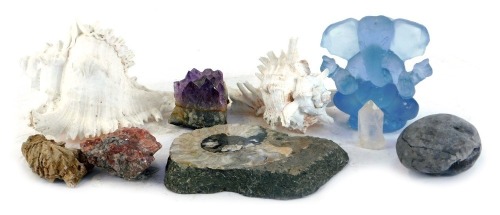 Appraisal: A group of fossils shells and gemstones to include polished