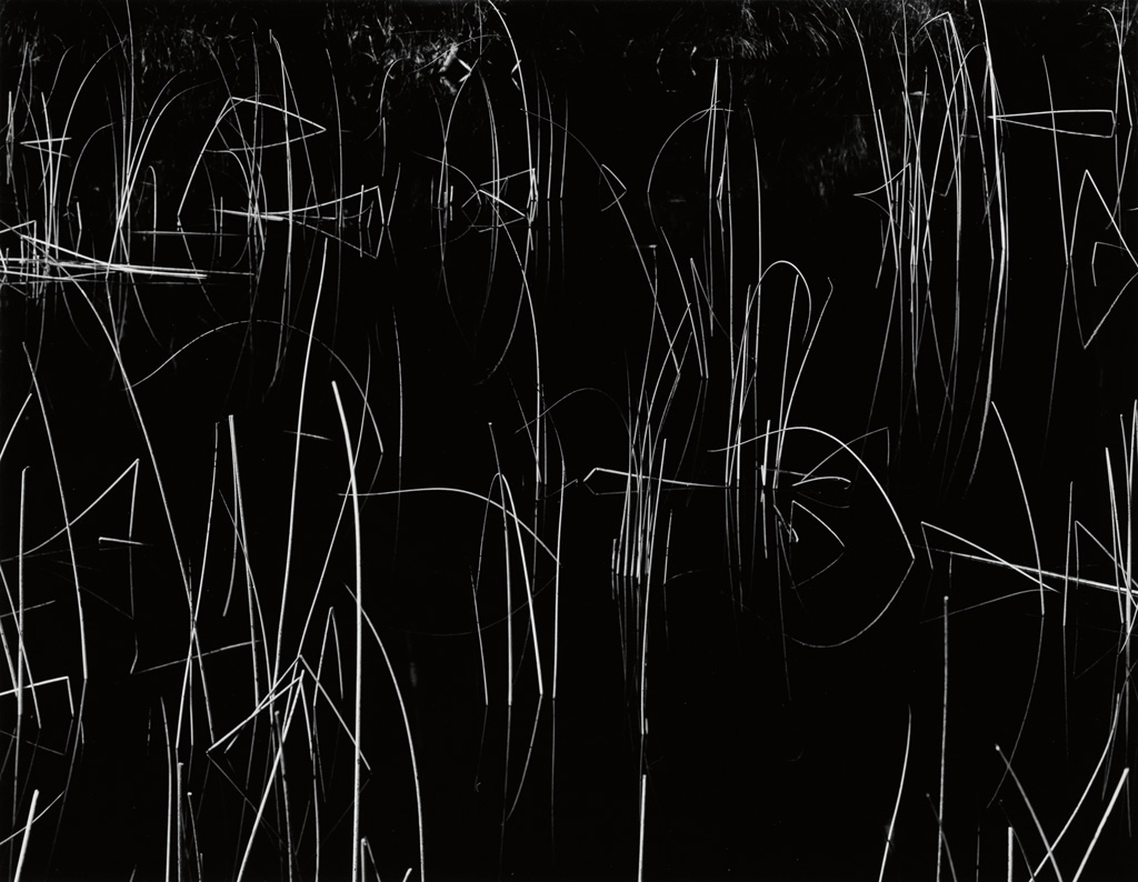 Appraisal: WESTON BRETT - Reeds Silver print x inches x cm