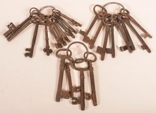 Appraisal: Lot of Twenty Two th Century Iron Skeleton Keys Longest